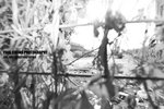 yautony_008