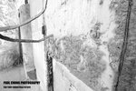 yautony_013
