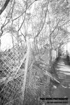 yautony_014
