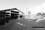 yautony_023