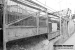 yautony_026