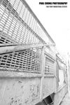 yautony_027