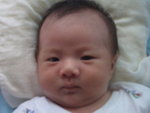 伂網網腔,躲斕啄珨跺欴