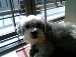 picture00002