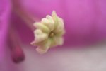 f005F5.6