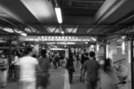 DSC_0135WB