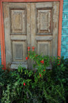 DSC_0105wb