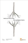 ecoposter porter