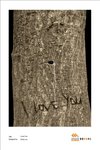 environment poster i love you