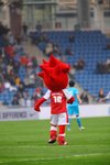 IMG1_017196