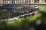 IMG_002642