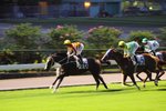 IMG_002652