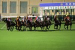 IMG_002848