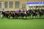 IMG_002849