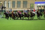 IMG_002850