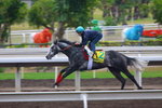 IMG_5226
