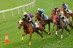 IMG1_018606
