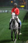 IMG1_021686