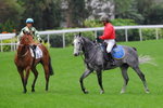 IMG1_021954