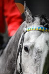 IMG1_024899