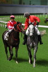 IMG1_025476