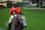 IMG1_027391
