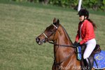 IMG_008141