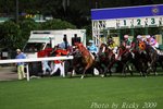 IMG_006571