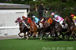 IMG_006575