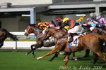 IMG_006597