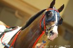 IMG_006701