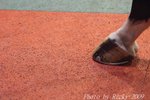 IMG_006706
