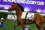 IMG_006731