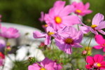 IMG_1928