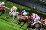 IMG_006832