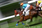 IMG_007032