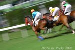 IMG_007035