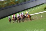 IMG_007039
