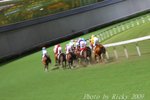 IMG_007040