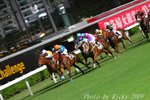 IMG_007043