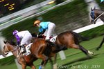 IMG_007059