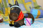 IMG_005884
