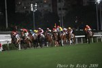 IMG_007874