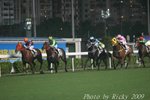 IMG_007916