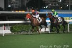 IMG_007919
