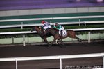 IMG_008075