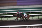 IMG_008076