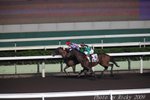 IMG_008077