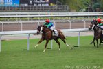 IMG_008330