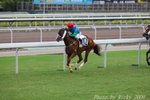 IMG_008331